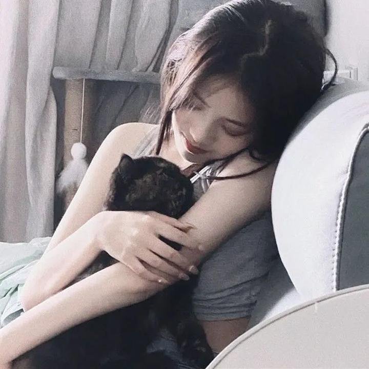 海狮利奥环岛记